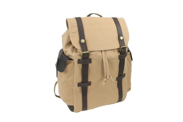 Stylish Canvas Laptop Backpack CK07